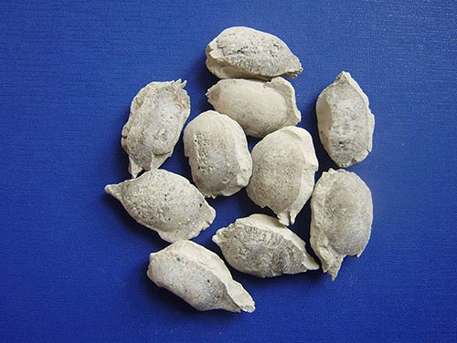 �X�}�ͺϾ�����